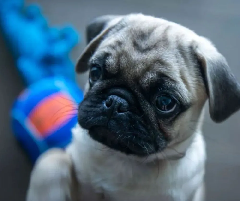 Slide of 1 Stop Heating And Cooling