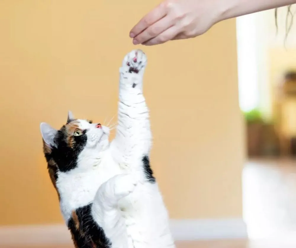 Slide of 1 Stop Heating And Cooling