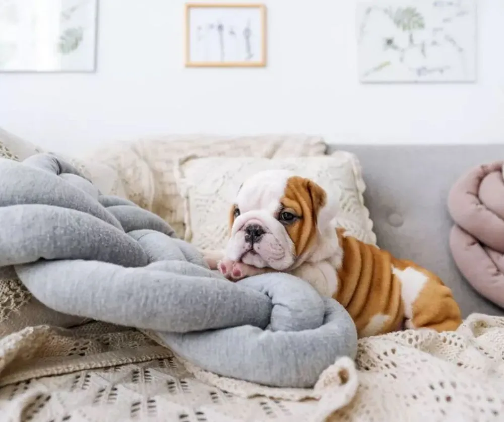 Slide of 1 Stop Heating And Cooling