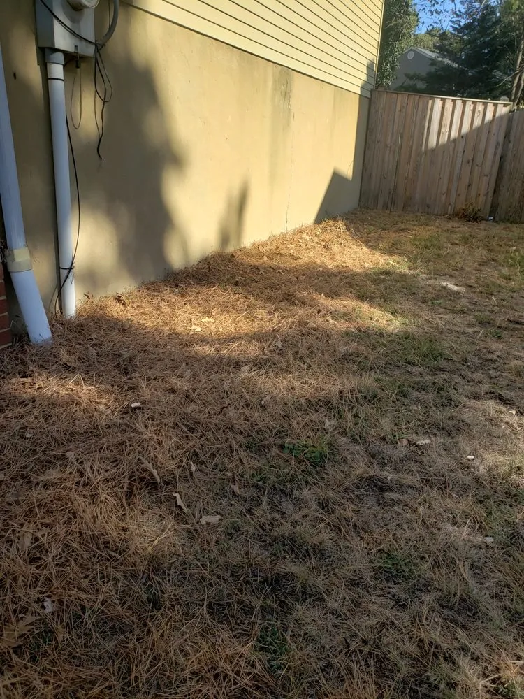 Slide of 1SmartChoice