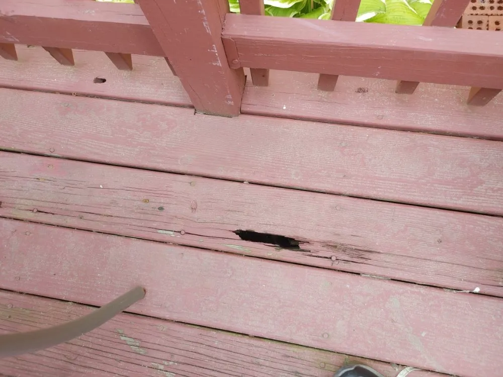 Slide of 1SmartChoice