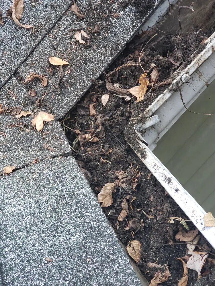 Slide of 1SmartChoice