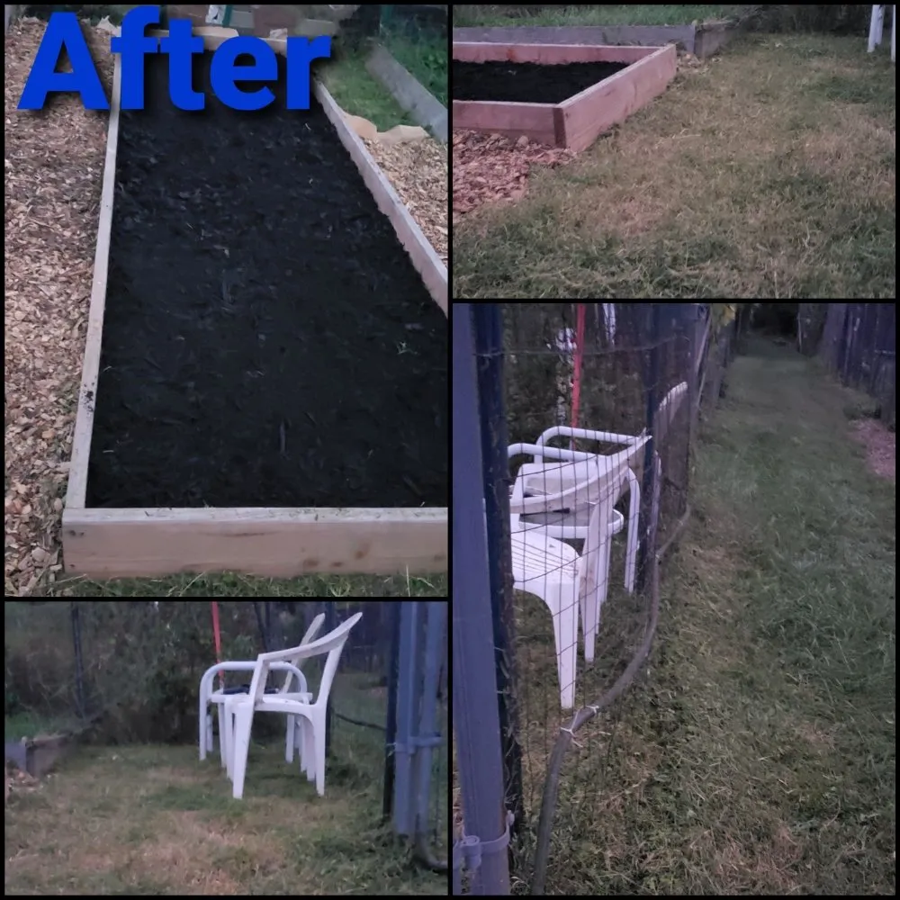 Slide of 1SmartChoice