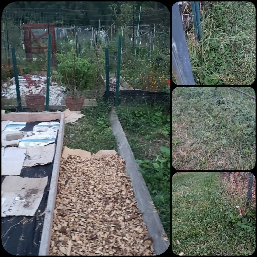 Slide of 1SmartChoice