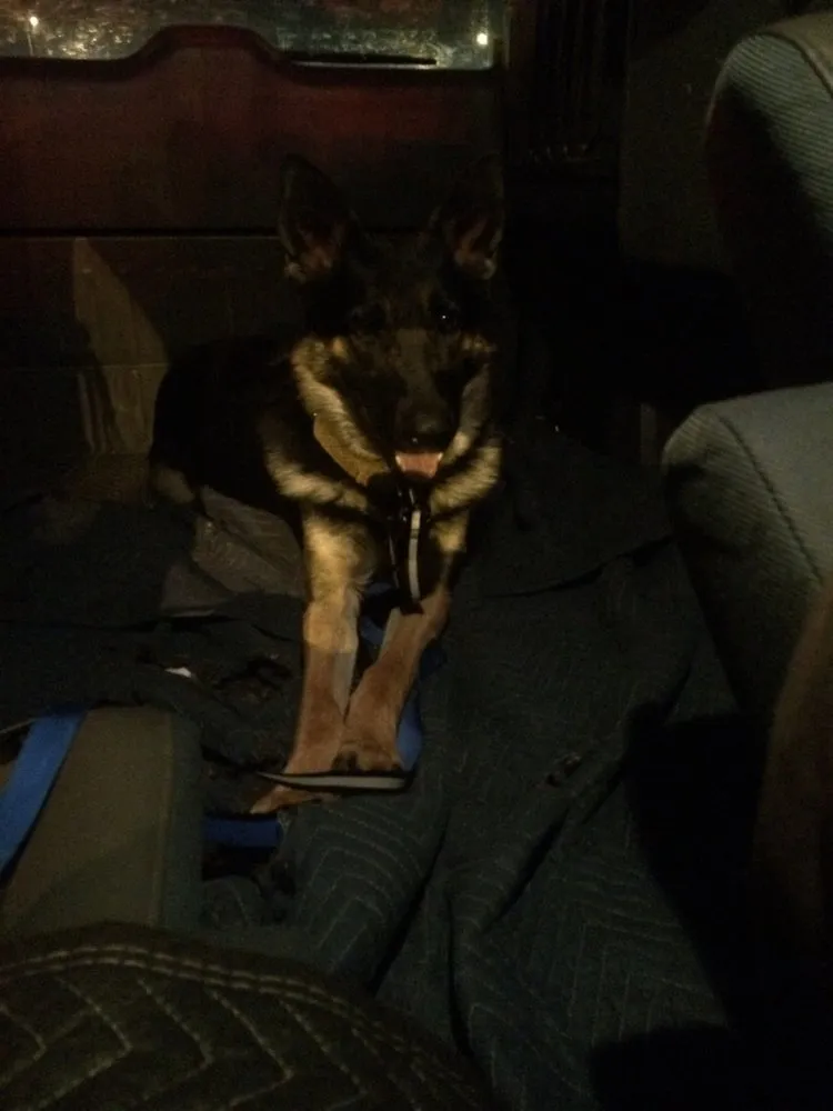 Slide of 2 Shepherds Heating and Air