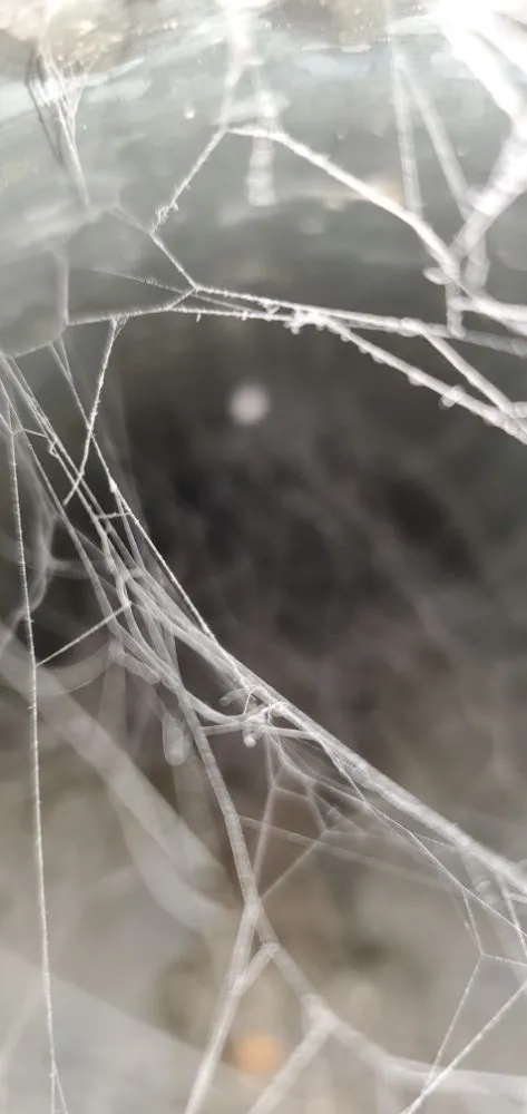 Slide of 208 Dryer Vents