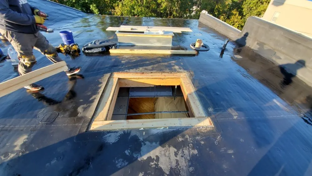 Slide of 4 Diamond Mechanical