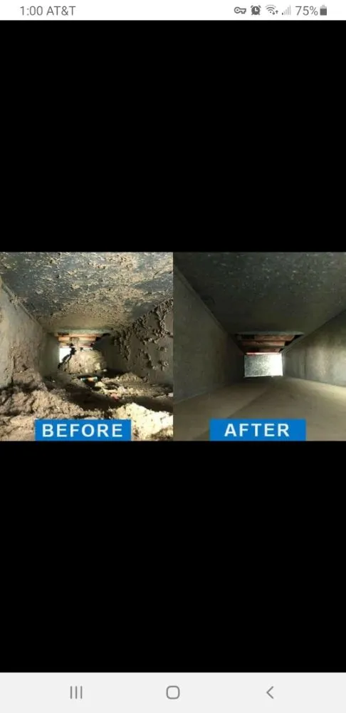 Slide of 4 Happy Ducts