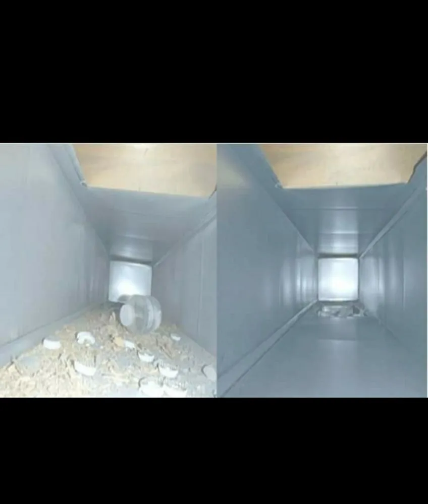 Slide of 4 Happy Ducts