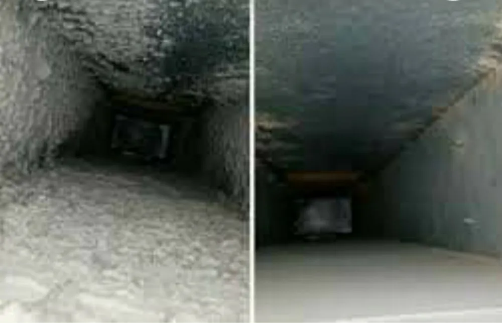 Slide of 4 Happy Ducts