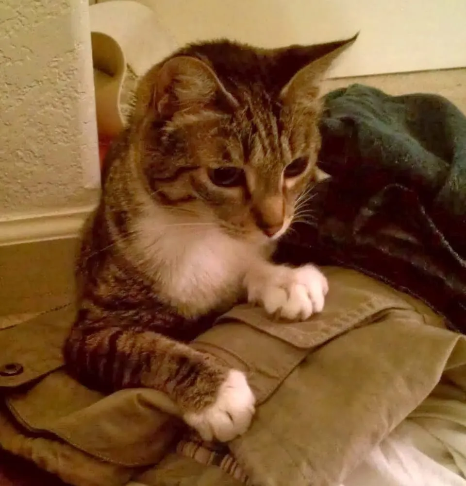 Slide of 4 Seasons Heating & Air Conditioning