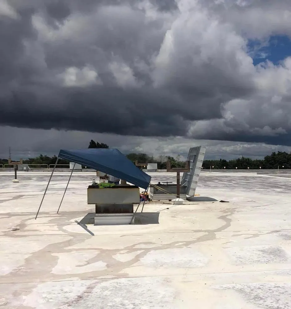 Slide of 4D Mechanical