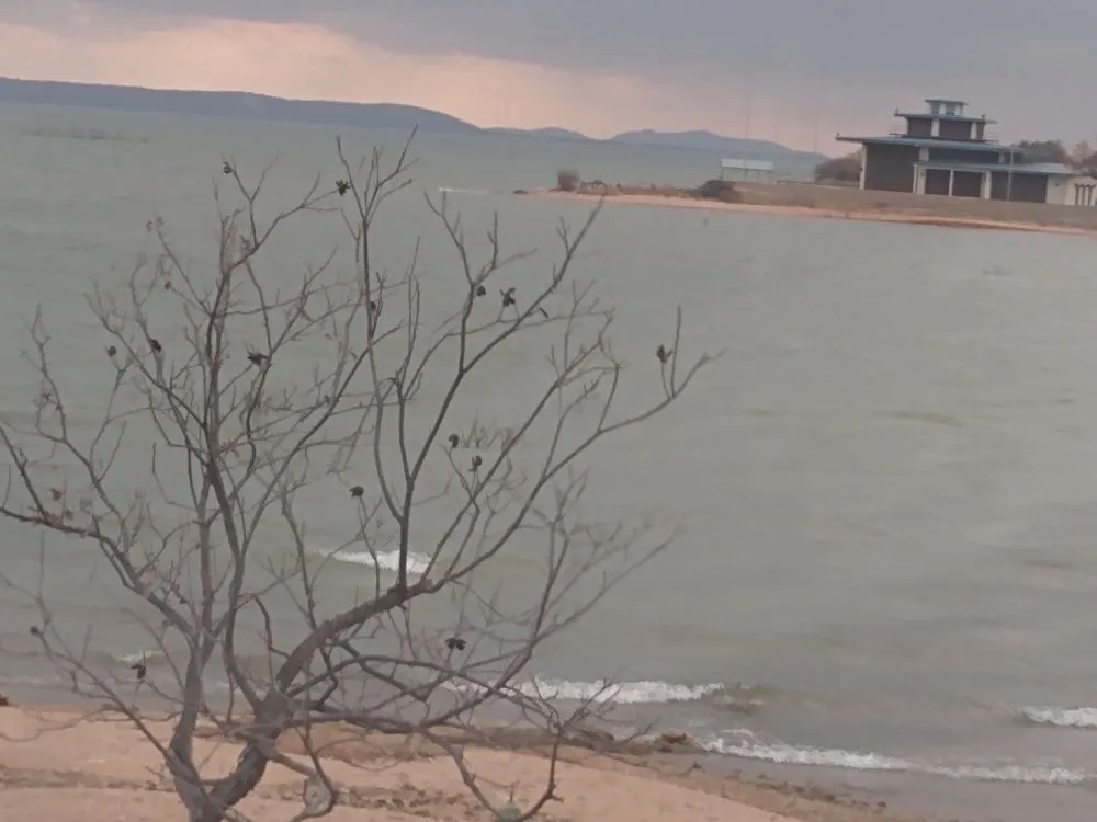 Slide of 4R Investors