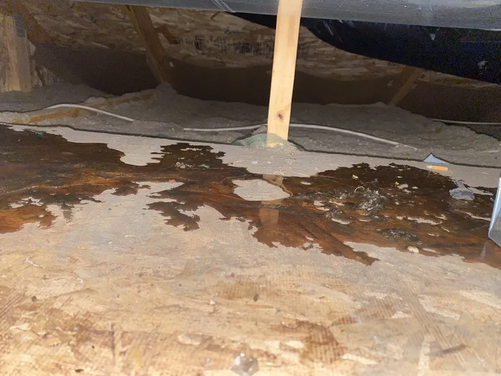 Slide of 6 & Fix Services