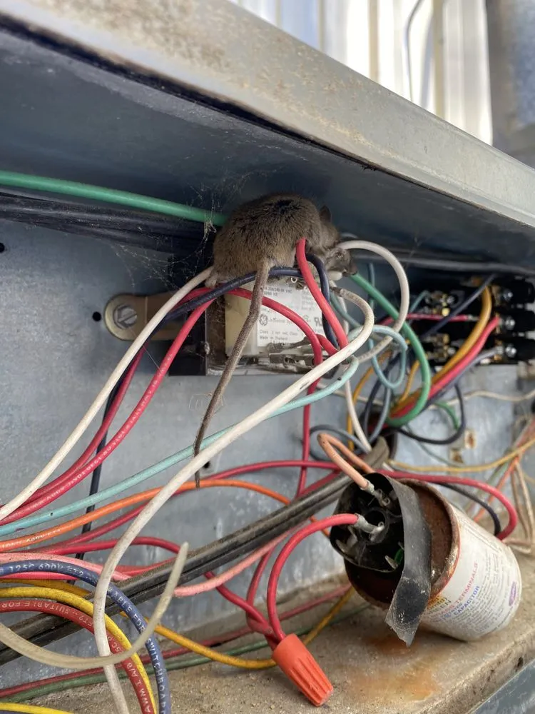 Trusted heating repair for fast service in Arden, NC by 828 Heating And Cooling
