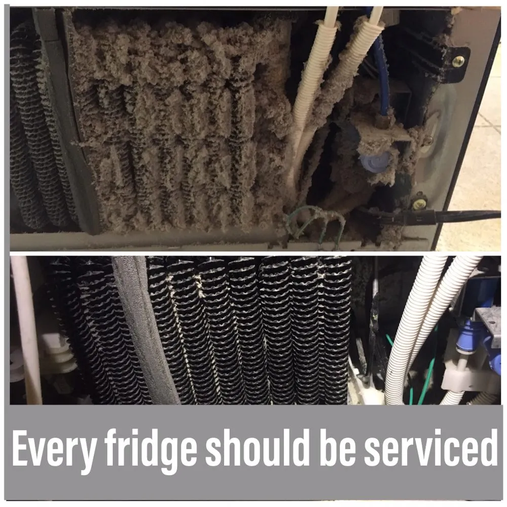 Slide of 911 Fridge