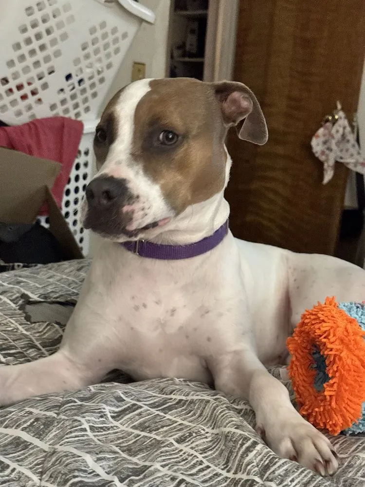 Slide of A & C Heating & Cooling