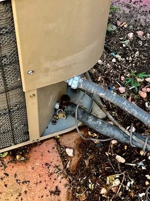 A-1 Quality Care Logo