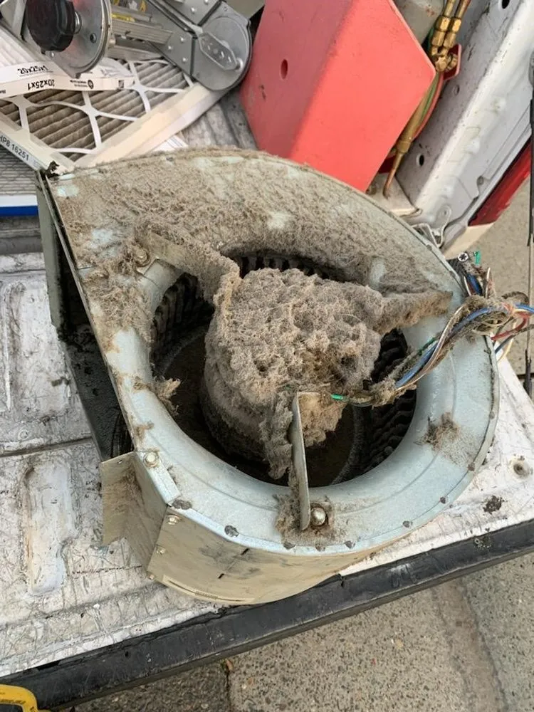 Slide of A-1 Total Air Care