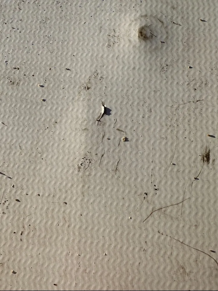 Slide of A 100% Guarantee Heating & AC