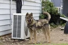 Slide of A-AVS Air Conditioning & Heating Contractor