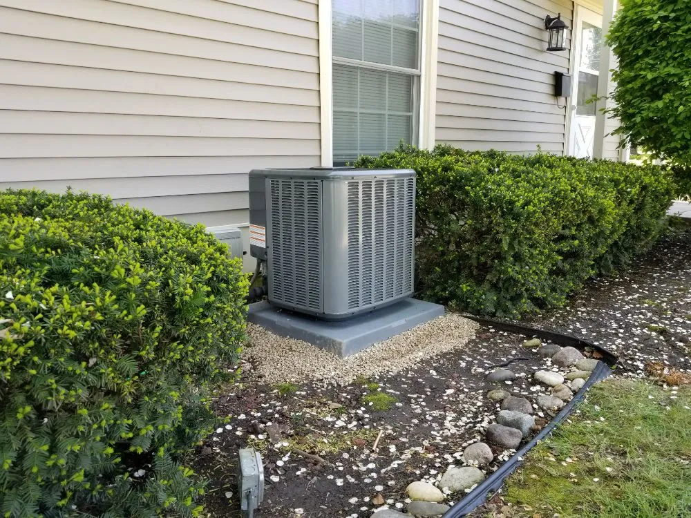 Slide of A Better Climate