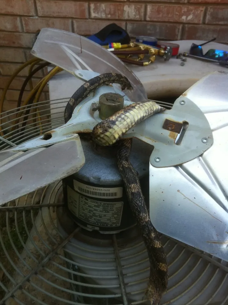 Slide of A Better Climate