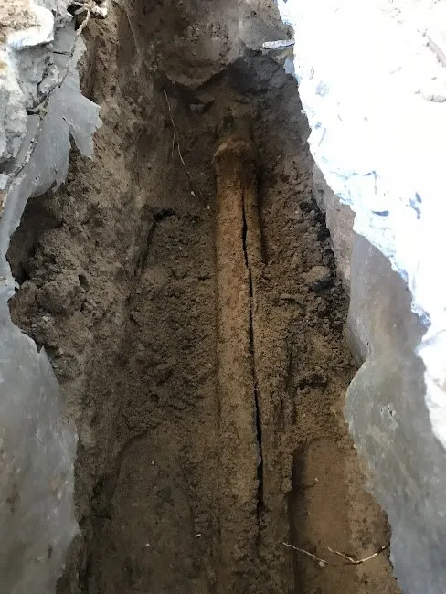 Slide of A Better Plumbing