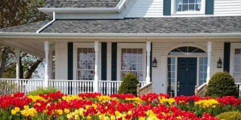 Slide of A Borrelli Mechanical