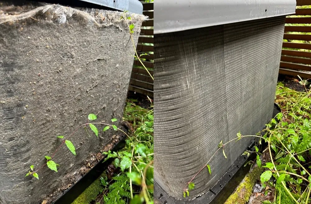 Slide of A Breath of Fresh Air