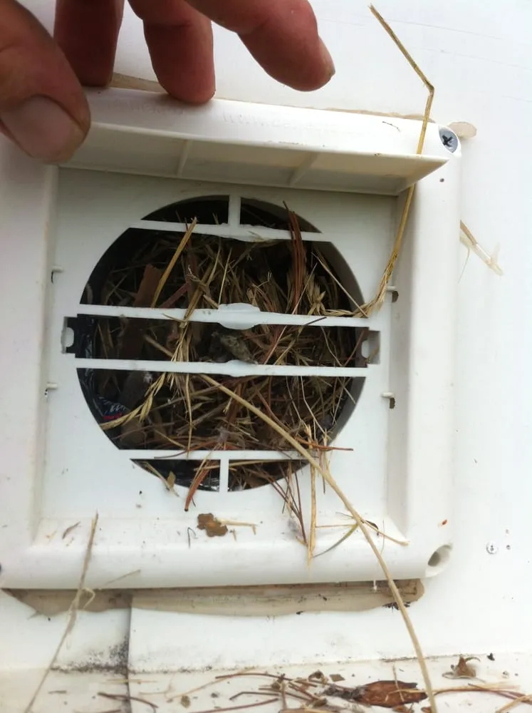 Slide of A Breathe-Rite Carpet & Air Duct Cleaning Co