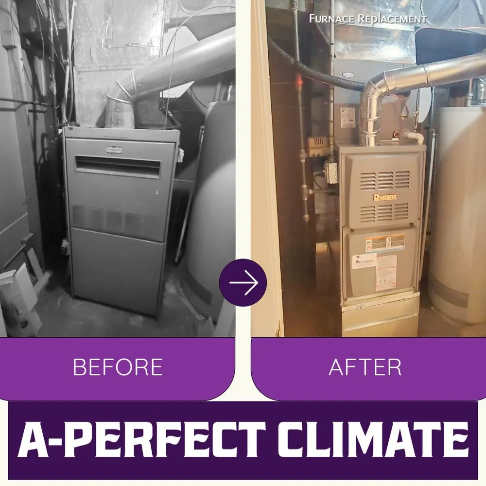 Slide of A Perfect Climate