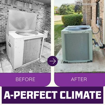 A Perfect Climate