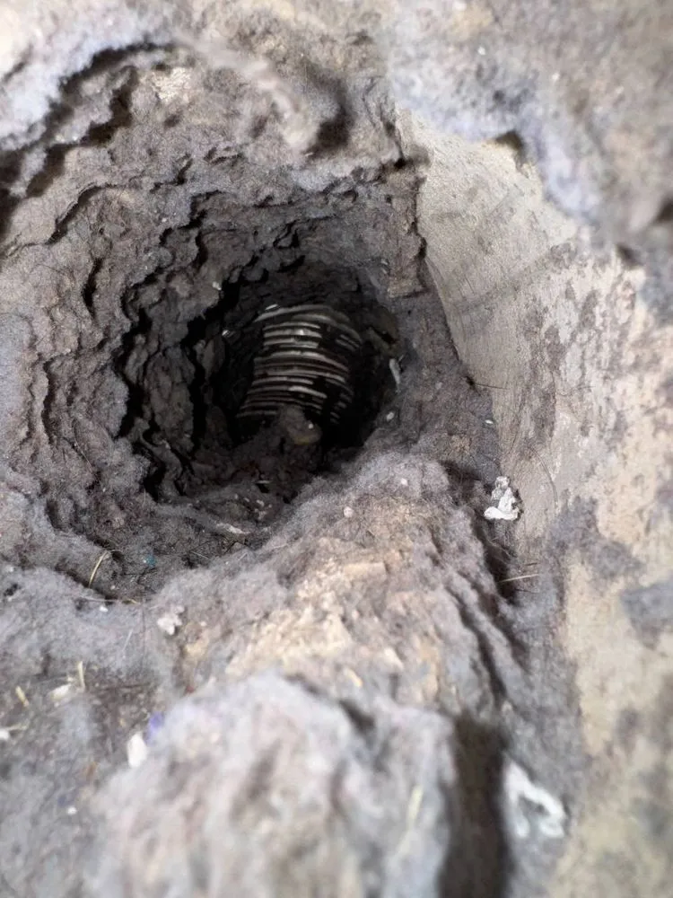 Slide of A Plus Duct Cleaning