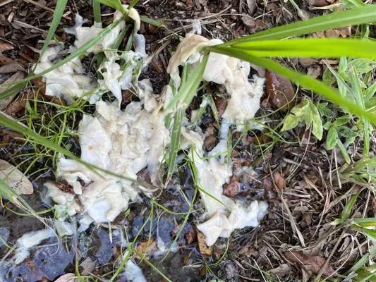 A Stepping Stone AC & Heating Logo