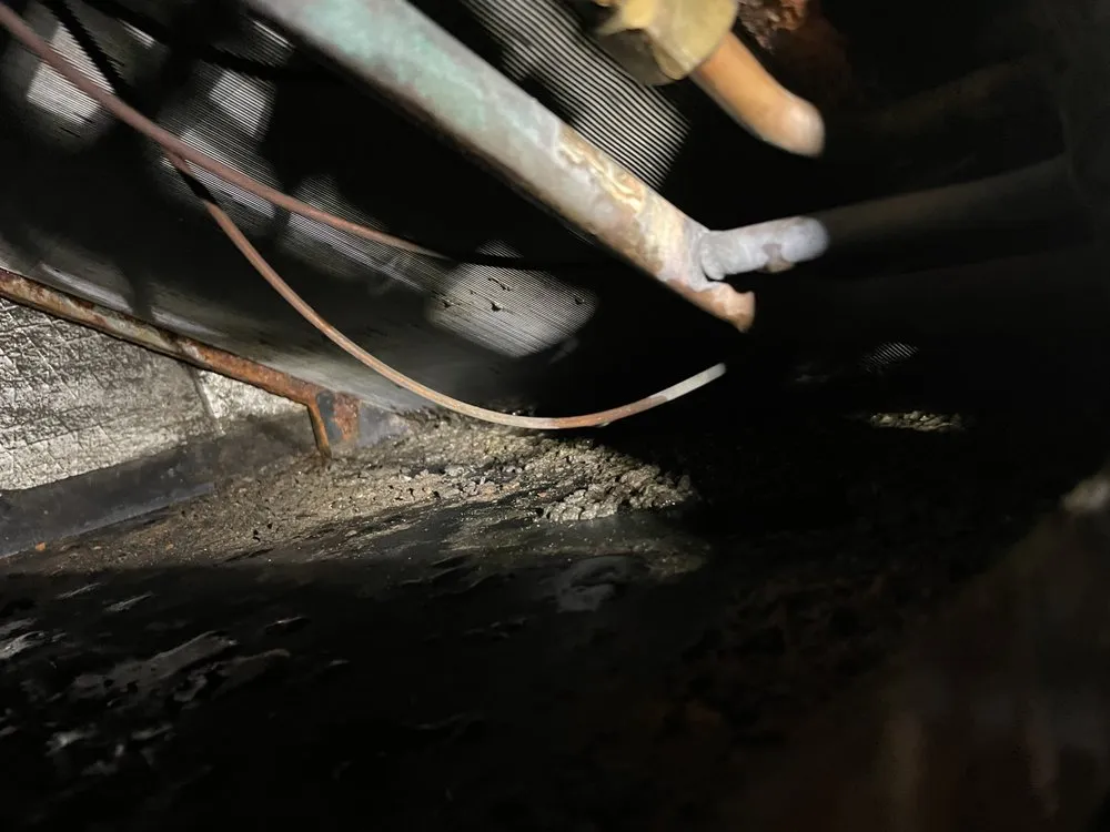 Certified heating repair experts serving Tampa Bay, FL - A to Z plumbing & Air