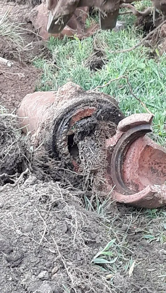 Slide of A to Z Services Springfield