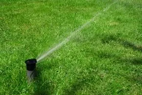 Slide of A Wolter Service - Wolter Services