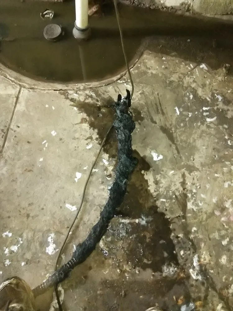 Slide of AA Drain Medic