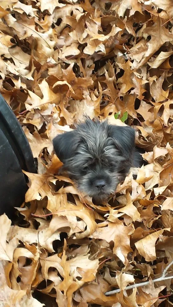 Slide of AAA Appliance Service A/C & Heating