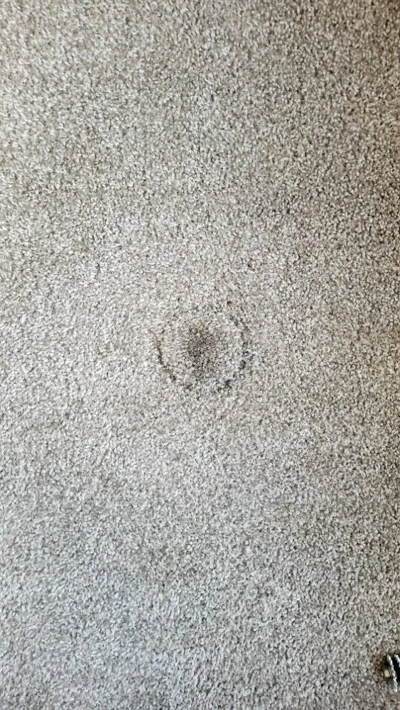 Slide of AAA Service Technician