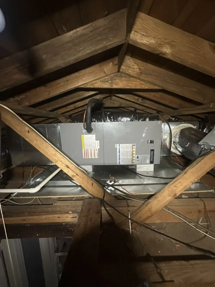 Slide of AAA Xtreme Comfort