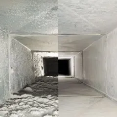 Slide of Aardvacc Cleaning Specialists