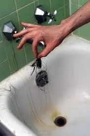 Slide of Aardvark Plumbing Heating HVAC