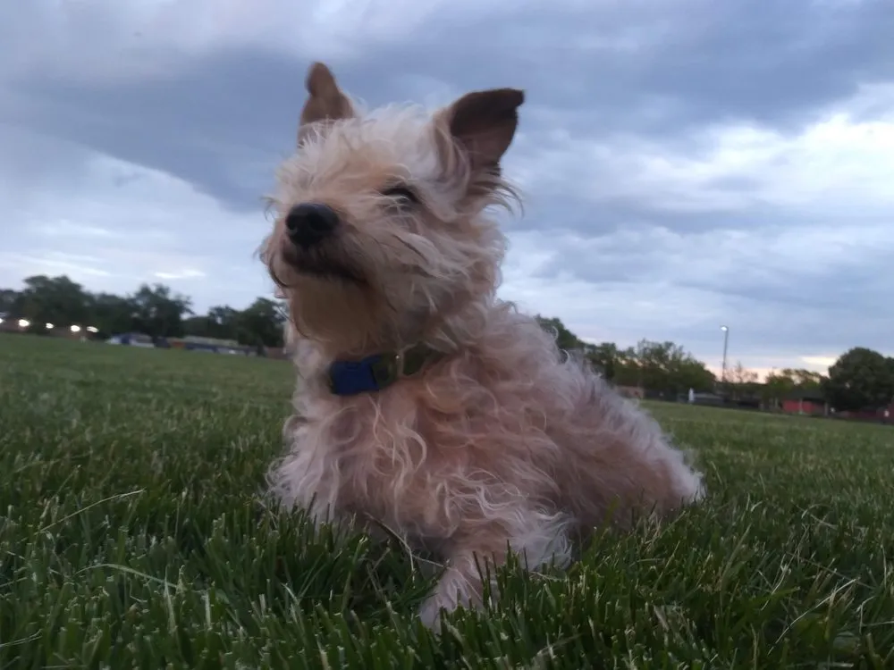 Slide of ABC Climate Controls