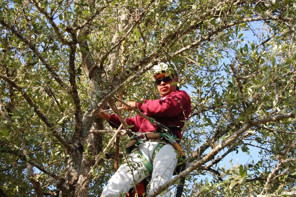 Slide of ABC Home & Commercial Services