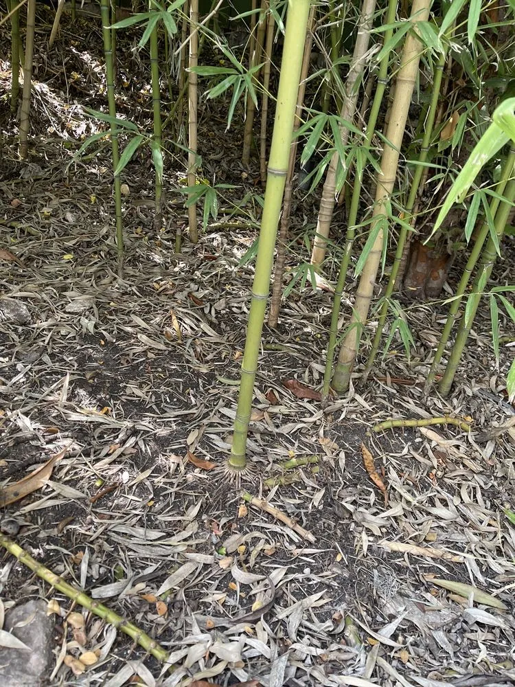 Slide of ABC Home & Commercial Services