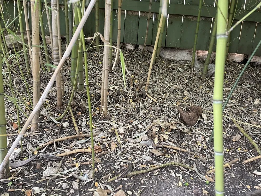 Slide of ABC Home & Commercial Services