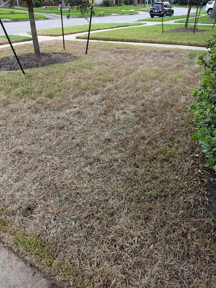 Slide of ABC Home & Commercial Services