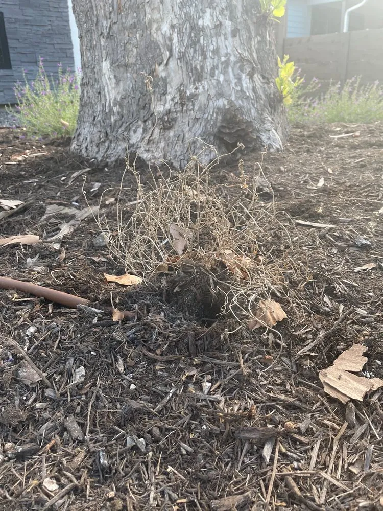 Slide of ABC Home & Commercial Services